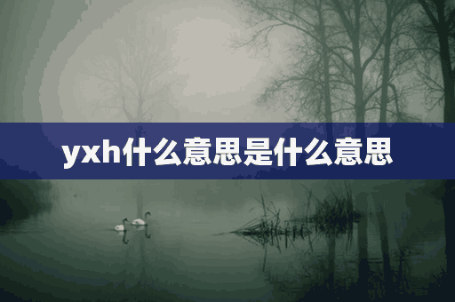 yxh什么意思是什么意思